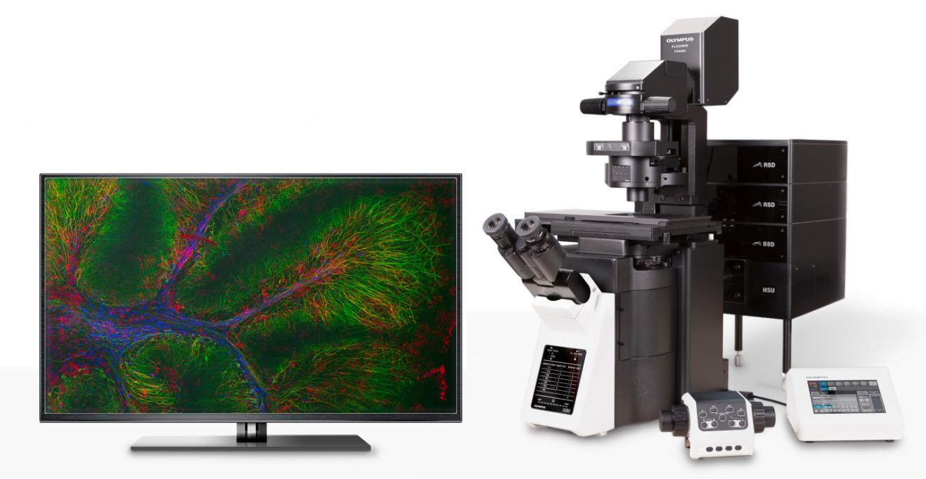 Olympus FV4000激光扫描共聚焦显微镜(DEMO)